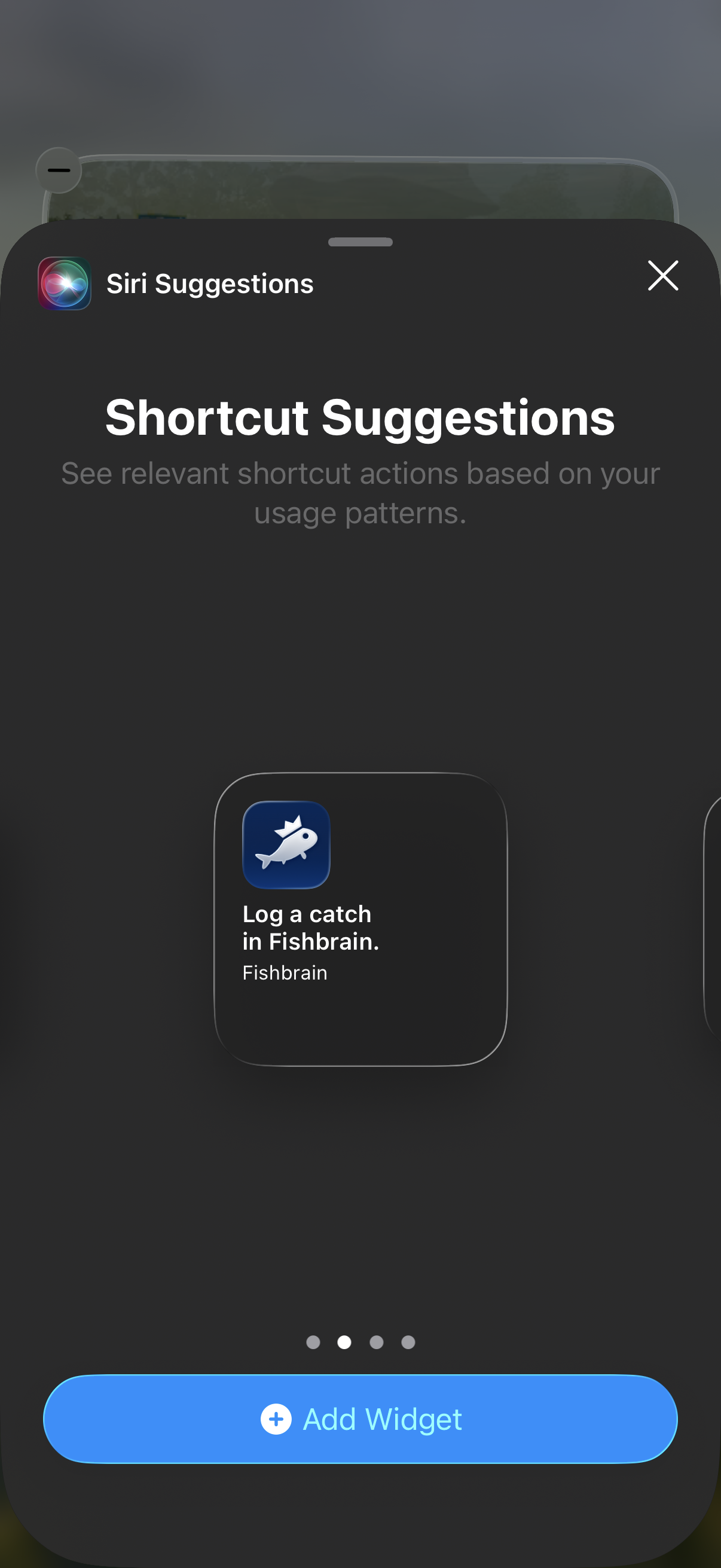 widget.png